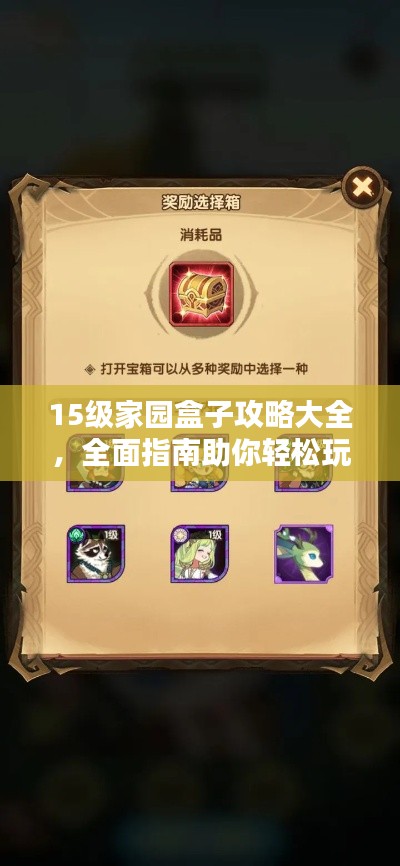 15级家园盒子攻略大全，全面指南助你轻松玩转！