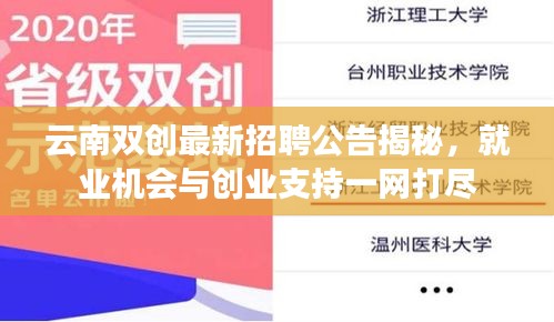 云南双创最新招聘公告揭秘，就业机会与创业支持一网打尽