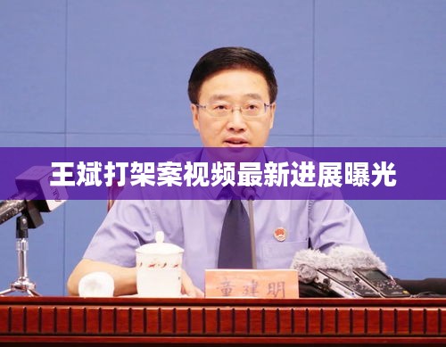 王斌打架案视频最新进展曝光