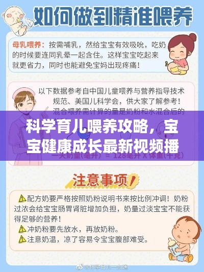 科学育儿喂养攻略，宝宝健康成长最新视频播放指南