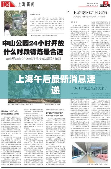 上海午后最新消息速递