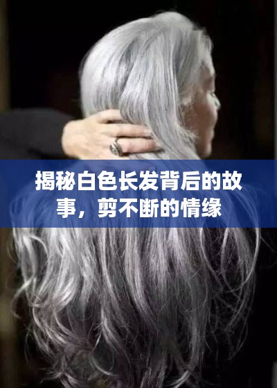 揭秘白色长发背后的故事，剪不断的情缘