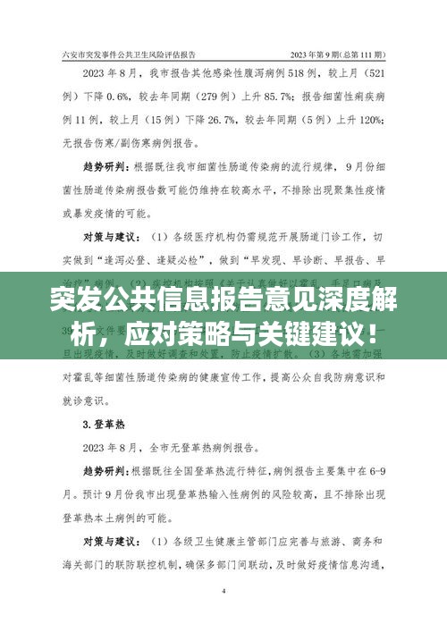 突发公共信息报告意见深度解析，应对策略与关键建议！