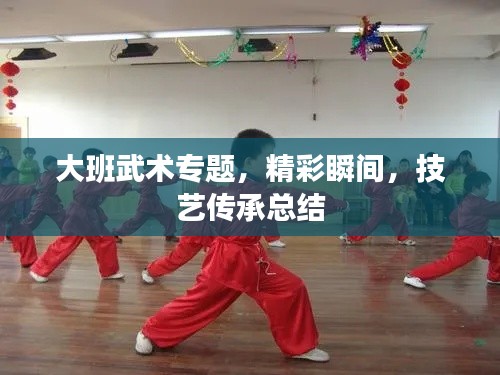 大班武术专题，精彩瞬间，技艺传承总结