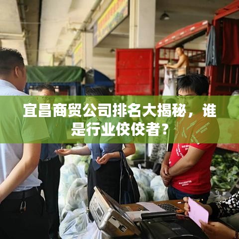 宜昌商贸公司排名大揭秘，谁是行业佼佼者？