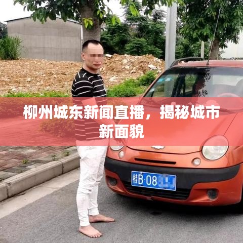柳州城东新闻直播，揭秘城市新面貌
