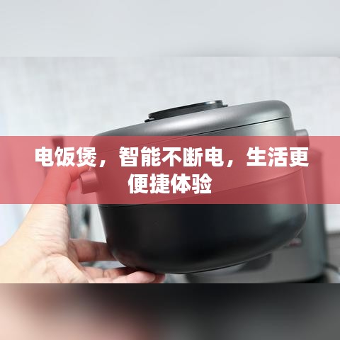 电饭煲，智能不断电，生活更便捷体验
