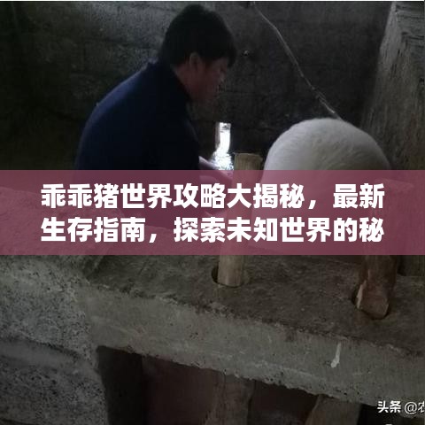 乖乖猪世界攻略大揭秘，最新生存指南，探索未知世界的秘诀