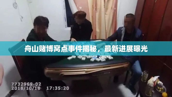 舟山赌博窝点事件揭秘，最新进展曝光