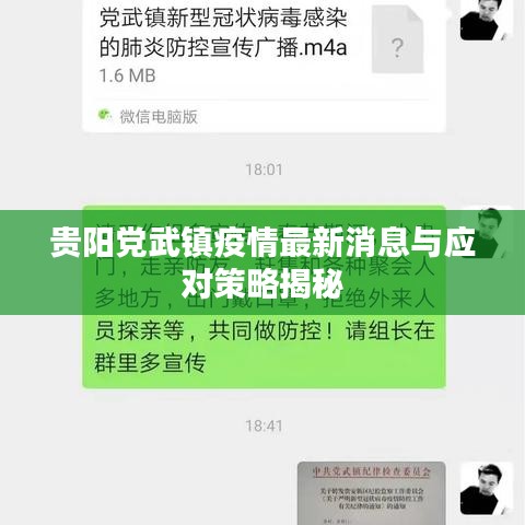 贵阳党武镇疫情最新消息与应对策略揭秘
