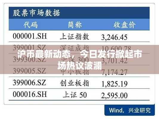 沪币最新动态，今日发行掀起市场热议波澜
