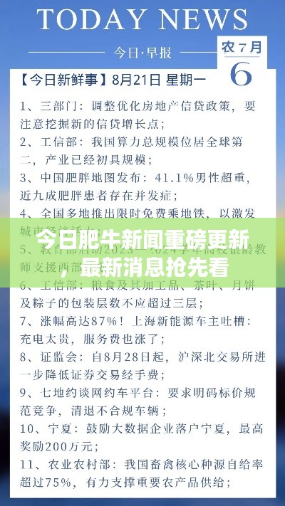 今日肥牛新闻重磅更新，最新消息抢先看