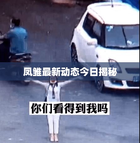 凤雏最新动态今日揭秘
