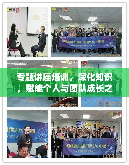 专题讲座培训，深化知识，赋能个人与团队成长之路