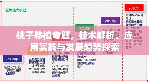 桃子移植专题，技术解析、应用实践与发展趋势探索
