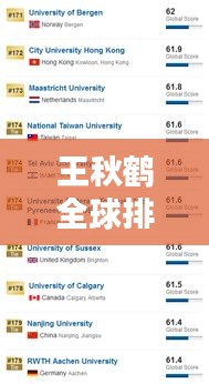 王秋鹤全球排名深度解析