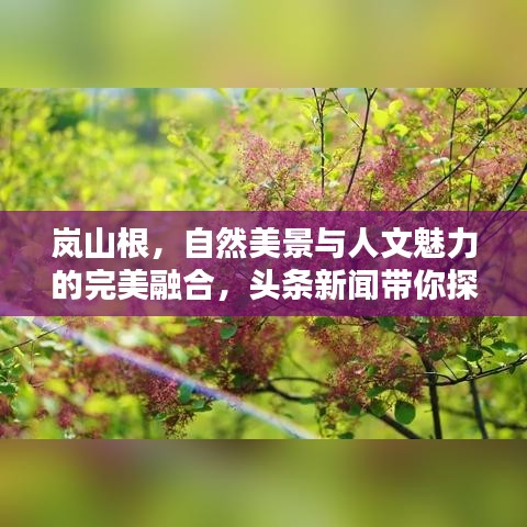 岚山根，自然美景与人文魅力的完美融合，头条新闻带你探寻胜地！