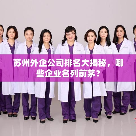 苏州外企公司排名大揭秘，哪些企业名列前茅？