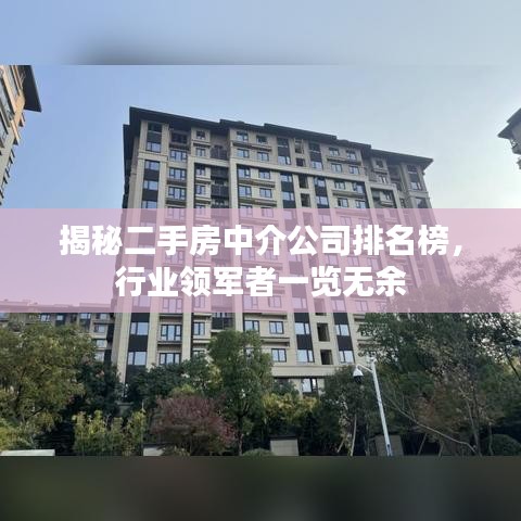 揭秘二手房中介公司排名榜，行业领军者一览无余