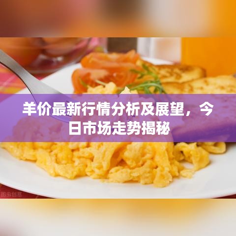 羊价最新行情分析及展望，今日市场走势揭秘
