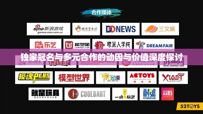 独家冠名与多元合作的动因与价值深度探讨