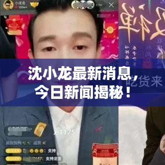 沈小龙最新消息，今日新闻揭秘！