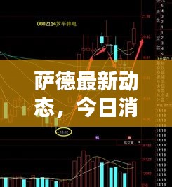 萨德最新动态，今日消息更新揭秘！