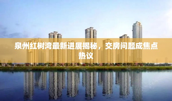 泉州红树湾最新进展揭秘，交房问题成焦点热议