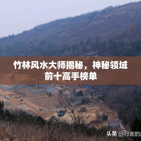 竹林风水大师揭秘，神秘领域前十高手榜单