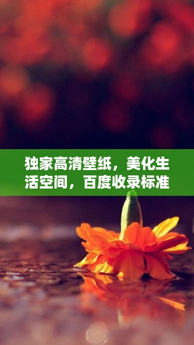 独家高清壁纸，美化生活空间，百度收录标准标题！