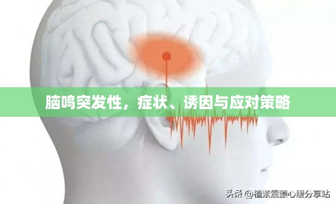 脑鸣突发性，症状、诱因与应对策略