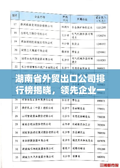 湖南省外贸出口公司排行榜揭晓，领先企业一览