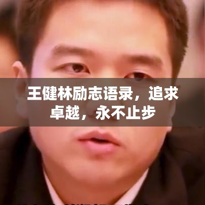 王健林励志语录，追求卓越，永不止步