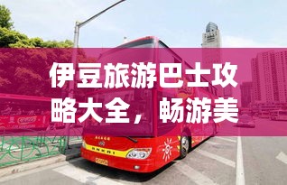 伊豆旅游巴士攻略大全，畅游美景，尽享舒适之旅！
