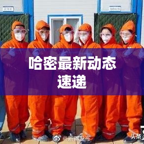 哈密最新动态速递
