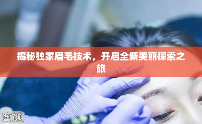 揭秘独家眉毛技术，开启全新美丽探索之旅