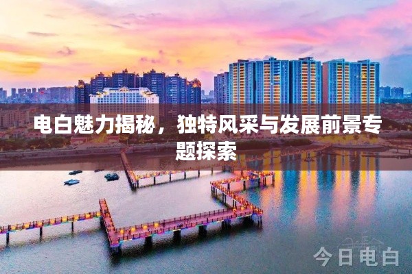 电白魅力揭秘，独特风采与发展前景专题探索