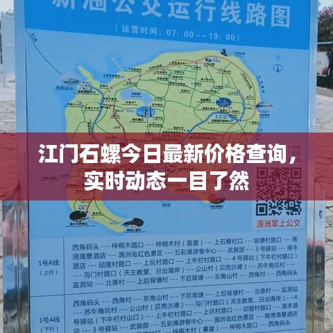 江门石螺今日最新价格查询，实时动态一目了然
