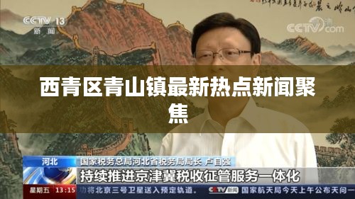 西青区青山镇最新热点新闻聚焦