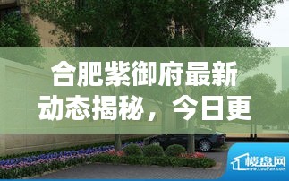 合肥紫御府最新动态揭秘，今日更新消息！