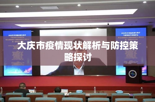 大庆市疫情现状解析与防控策略探讨