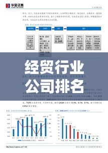 经贸行业公司排名大揭秘，深度解析企业影响力！