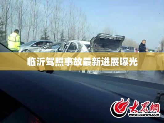 临沂驾照事故最新进展曝光