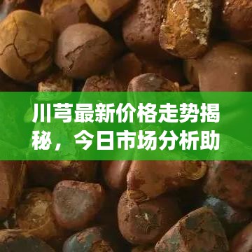川芎最新价格走势揭秘，今日市场分析助你洞悉行情变化！
