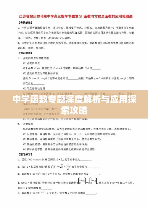 中学函数专题深度解析与应用探索攻略