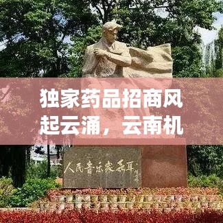 独家药品招商风起云涌，云南机遇挑战并存，医药市场新风向