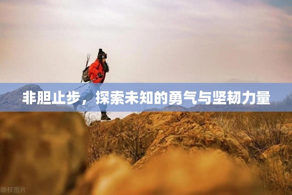 非胆止步，探索未知的勇气与坚韧力量