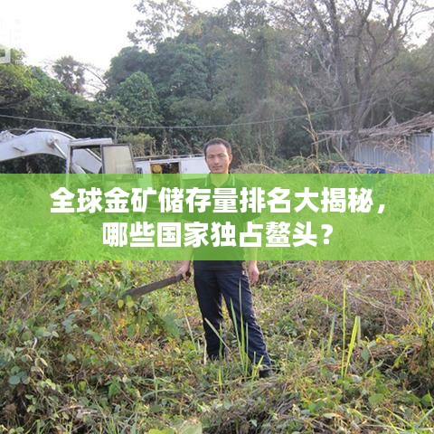 全球金矿储存量排名大揭秘，哪些国家独占鳌头？