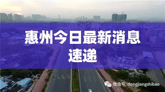 惠州今日最新消息速递