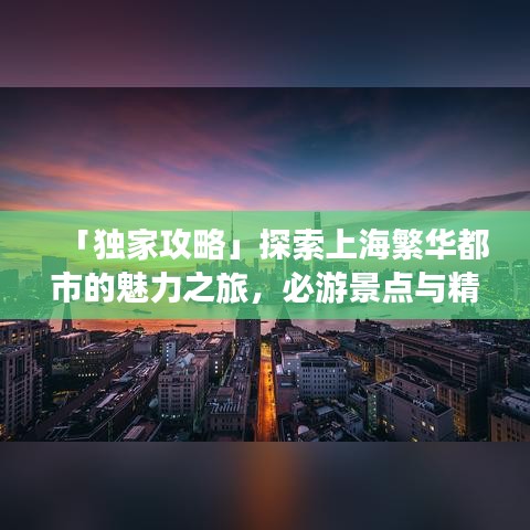 「独家攻略」探索上海繁华都市的魅力之旅，必游景点与精选体验